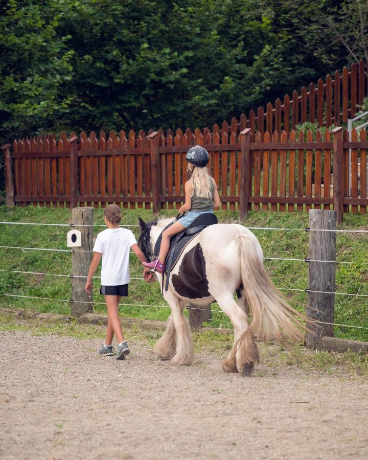 Familienbauernhof Samerhof Pfarrwerfen Eksteriør bilde