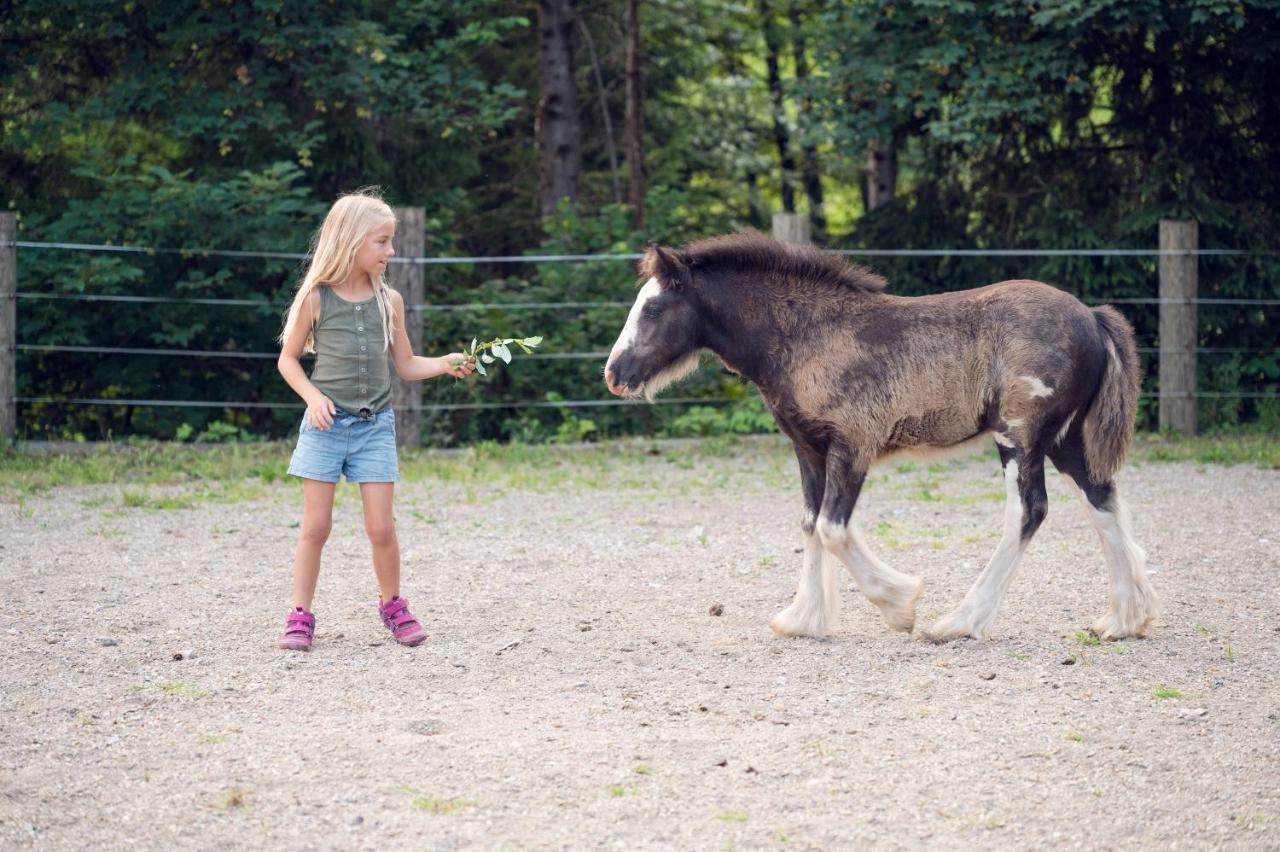 Familienbauernhof Samerhof Pfarrwerfen Eksteriør bilde
