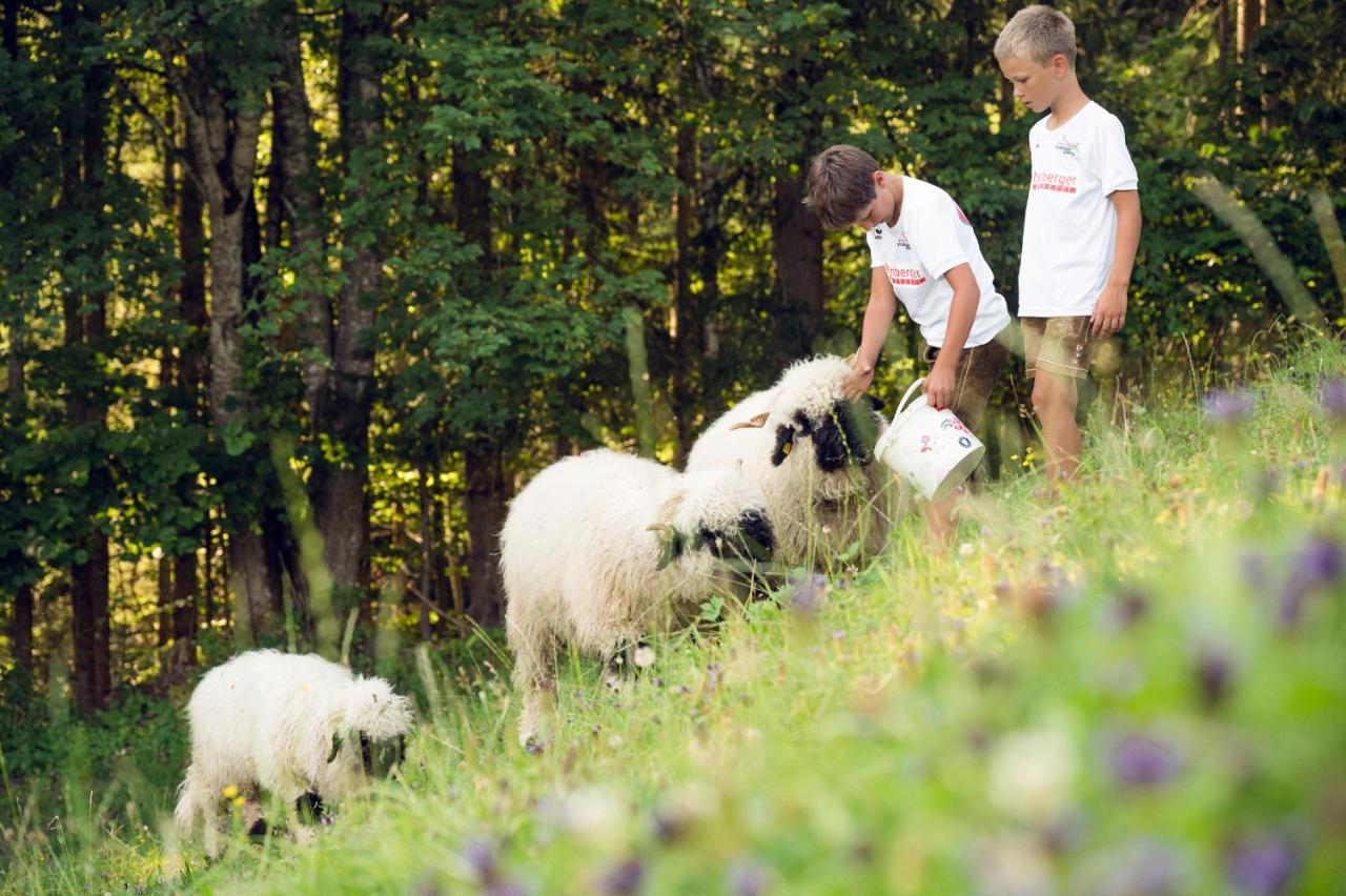 Familienbauernhof Samerhof Pfarrwerfen Eksteriør bilde